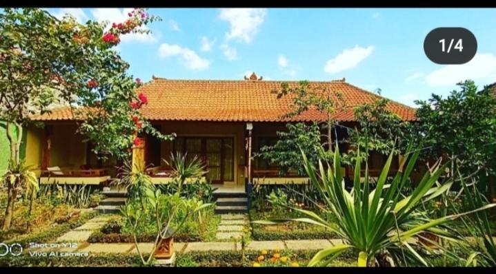 Pomelo Guest House Ubud  Exterior photo